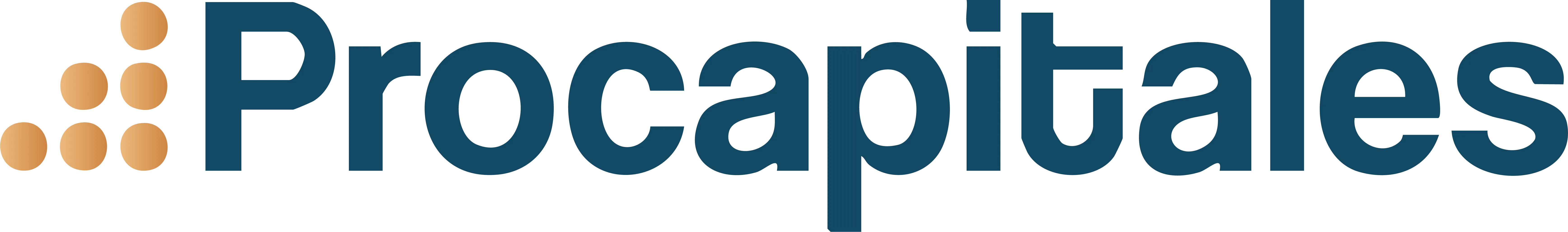 Procapitales